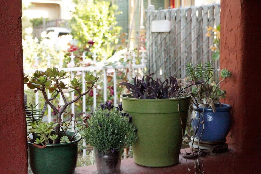 Beautiful, Historic Family Home Near Lake Merritt Оакланд Экстерьер фото